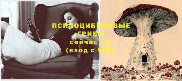 прущий лед Алексин
